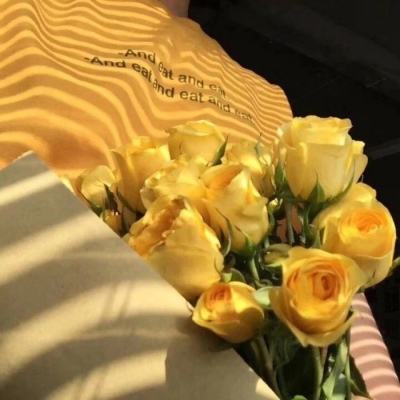 北单足球官网首页